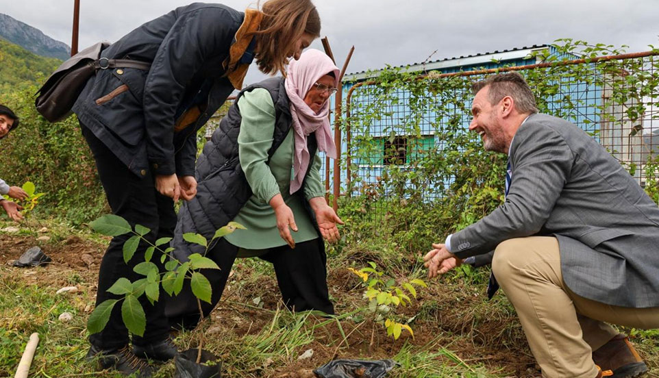 Integer dictum interdum arcu, sed ultricies enim laoreet ac.